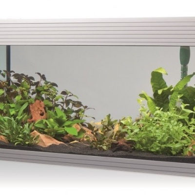 Aquário retangular com plantas e pedras no interior