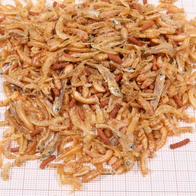 Pequenos camarões secos e larvas sobre superfície quadriculada