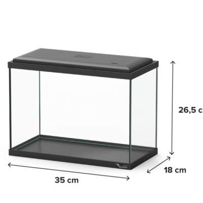 Aquário retangular de vidro com tampa preta e base preta.