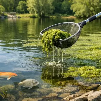 Rede a recolher algas verdes de lago com peixes e vegetação