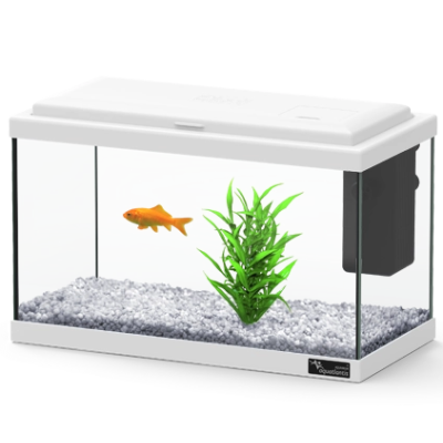 Aquário com peixe dourado, planta verde e gravilha cinza