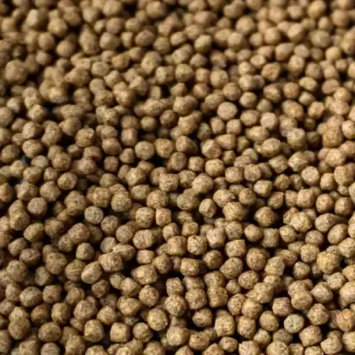Grânulos castanhos pequenos e redondos, textura uniforme.