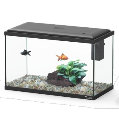 Aquário retangular com tampa preta, gravilha colorida, planta artificial e dois peixes