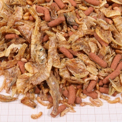 Mistura de pequenos crustáceos secos castanhos claros e vermelhos sobre fundo quadriculado.