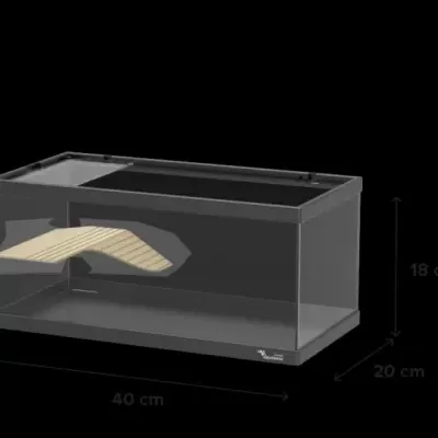 Aquário retangular transparente com base e moldura pretas e plataforma bege interior