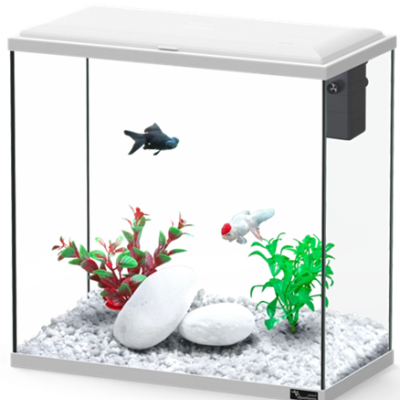 Aquário retangular com duas plantas artificiais e dois peixes
