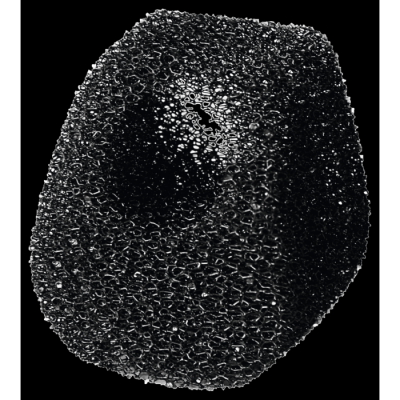 Esponja preta porosa com forma irregular isolada