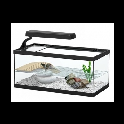 Aquário de vidro com tartaruga, cascalho branco, pedras, conchas e planta verde