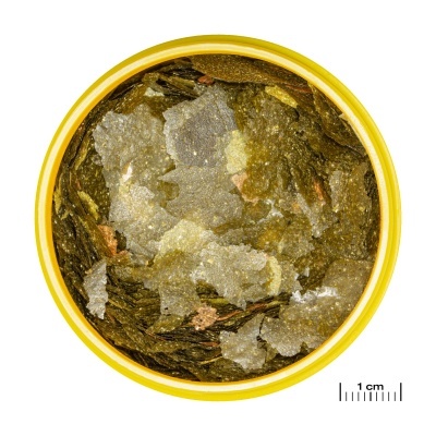 Recipiente amarelo com folhas secas verdes e escamas brancas