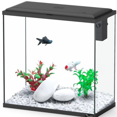 Aquário com peixes, plantas artificiais e pedras brancas