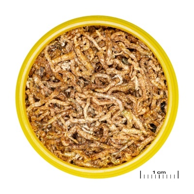 Superfície circular amarela com material castanho entrelaçado e escala de 1 cm