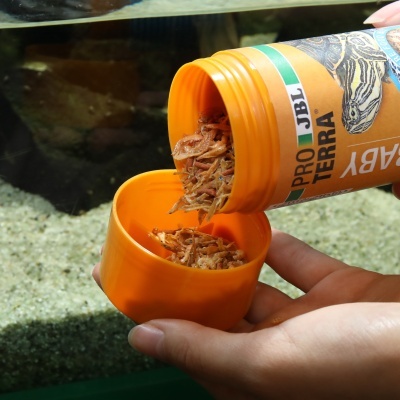 Suplemento alimentar seco para répteis embalagem laranja com tampa