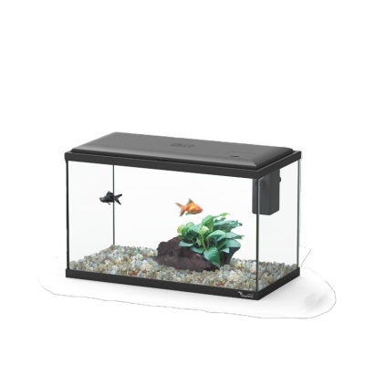 Aquário retangular com peixes e planta artificial
