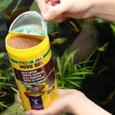 Embalagem amarela de alimento para peixes JBL Pro Novo Bel aberta, com grãos visíveis e peixes em aquário ao fundo