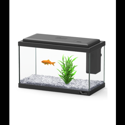 Aquário retangular com tampa preta, pedras brancas, planta verde e peixe dourado