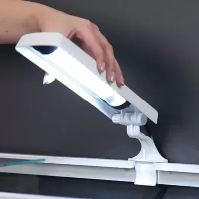 Luz de aquário branca em uso, fixada na borda do aquário