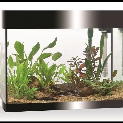 Aquário retangular com plantas aquáticas e filtro interno