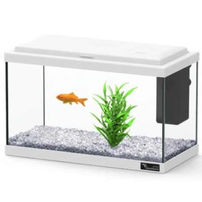 Aquário com peixe dourado e planta verde em cascalho cinza, base e tampa brancas
