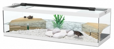 Aquário retangular com cascalho branco, pedras, planta verde e duas plataformas de madeira com tartarugas pequenas