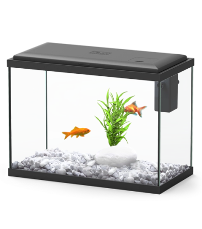 Aquário retangular com tampa preta e peixes dourados