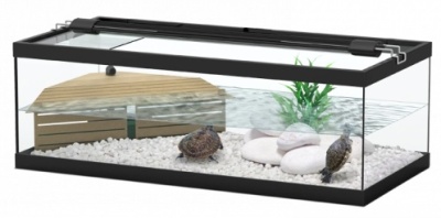 Aquário transparente com três tartarugas, cascalho branco, pedras e planta artificial