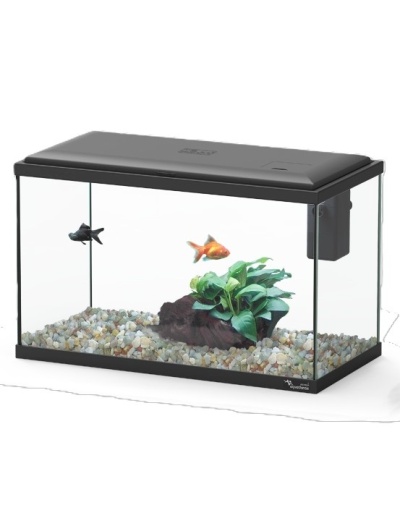 Aquário retangular com tampa preta, gravilha colorida, planta artificial e dois peixes