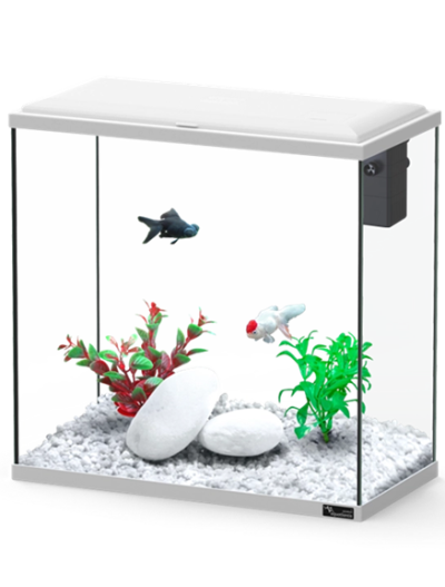 Aquário retangular com duas plantas artificiais e dois peixes