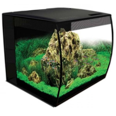 Aquário preto com vidro curvo contendo rochas, plantas verdes e peixes pequenos coloridos