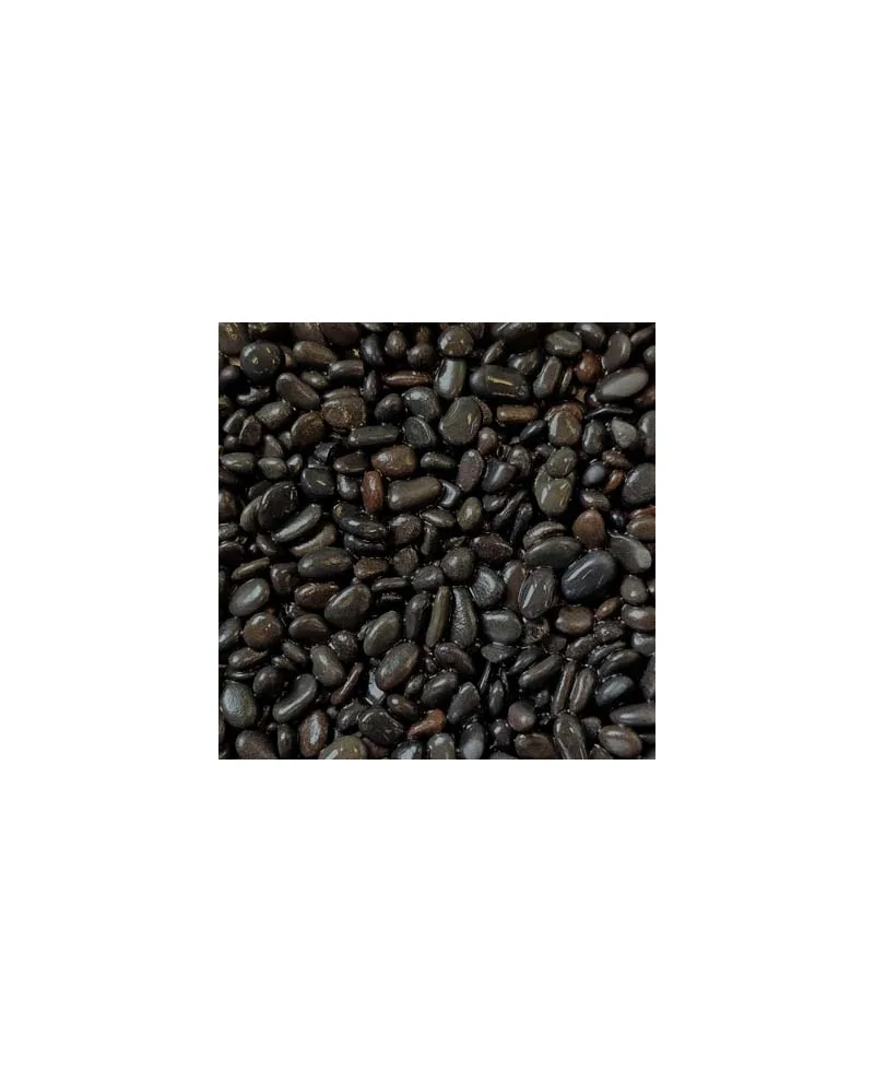 Feijão preto cru com tons escuros variando entre preto e castanho