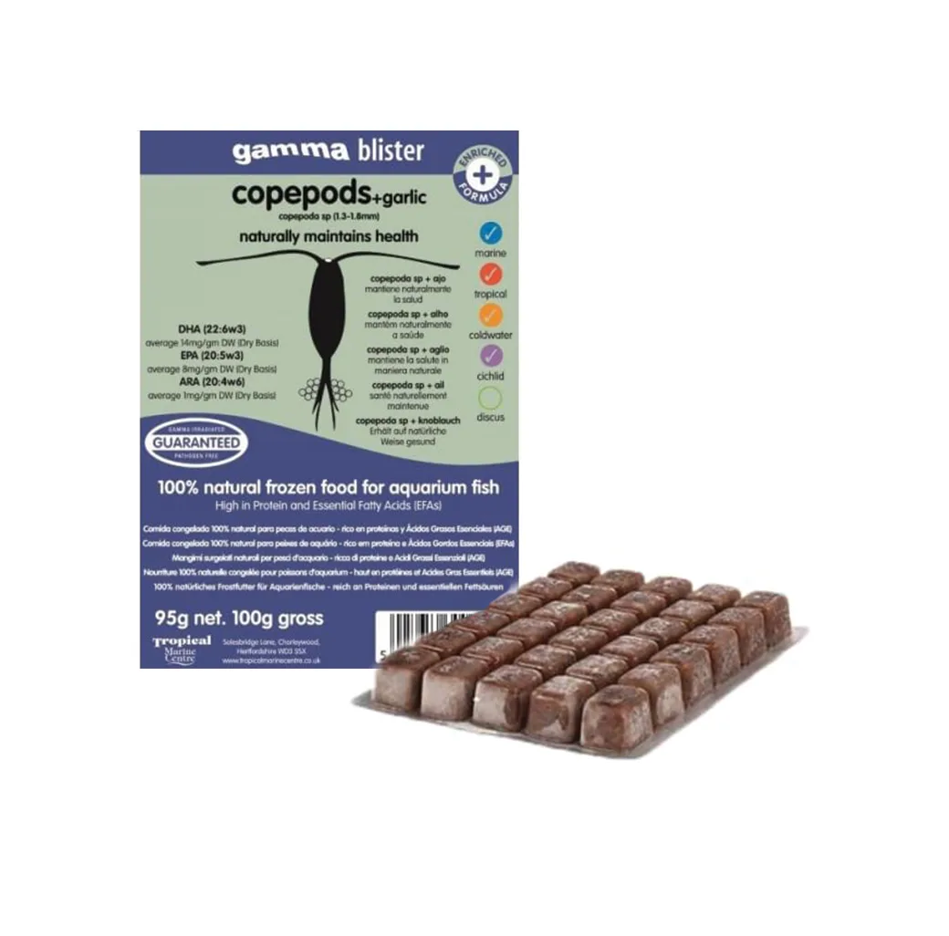 Embalagem de alimento congelado para peixes com blocos congelados ao lado