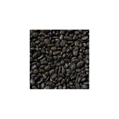 Feijão preto cru com tons escuros variando entre preto e castanho