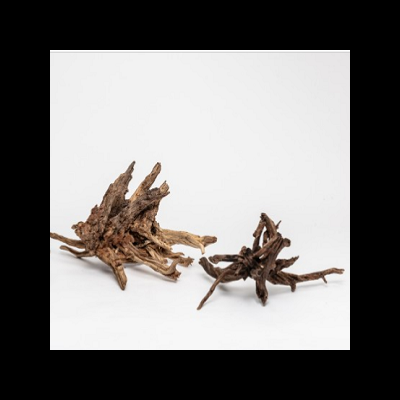 Dois pedaços de madeira seca com galhos sobre superfície branca