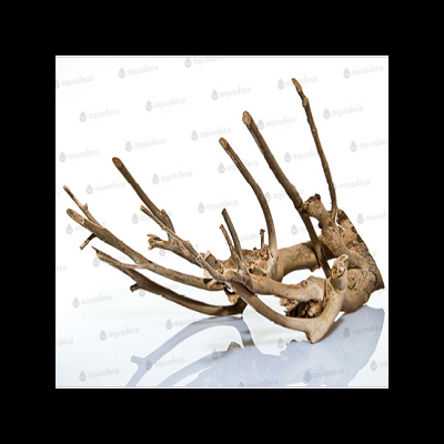 Raiz decorativa natural com ramos alongados castanhos sobre superfície branca