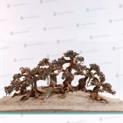 Terrário de vidro com miniaturas de árvores e areia