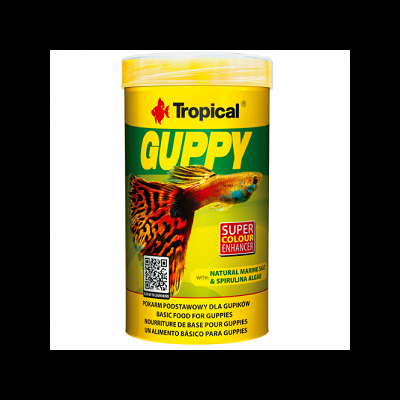 Recipiente de alimentação para peixes Tropical GUPPY com imagem de peixe colorido