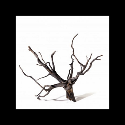 Ramo decorativo de madeira seca castanho escuro com ramos finos