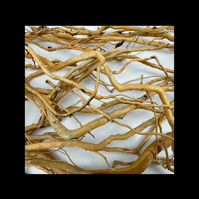 Ramo de galhos secos entrelaçados em tons castanho claro