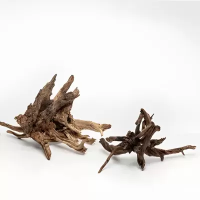 Duas peças de madeira natural com formas irregulares e cores castanhas em fundo branco