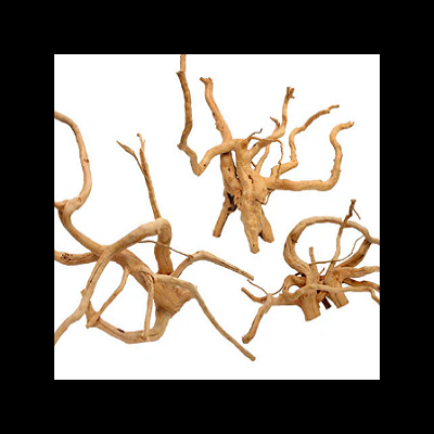 Três raízes de madeira natural com formas retorcidas