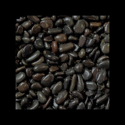 Feijão preto com textura brilhante