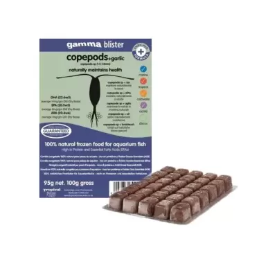 Embalagem de alimento congelado para peixes com blocos congelados ao lado