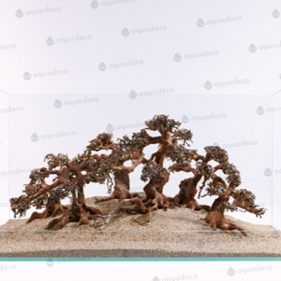 Aquário de vidro com areia e árvores artificiais em miniatura