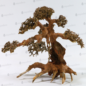 Árvore decorativa de madeira natural com ramificações e textura rugosa