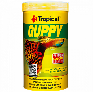 Recipiente de alimentação para peixes Tropical GUPPY com imagem de peixe colorido