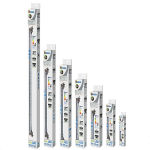 Tiras de luz LED IntelliLED em várias dimensões em embalagens de cartão branco e azul