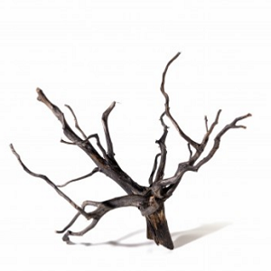 Ramo decorativo de madeira seca castanho escuro com ramos finos