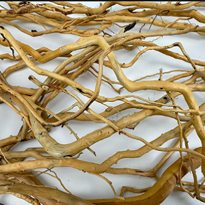 Ramo de galhos secos entrelaçados em tons castanho claro