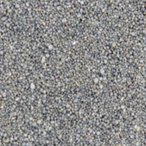 Sementes pequenas redondas cinza e brancas sobre superfície plana