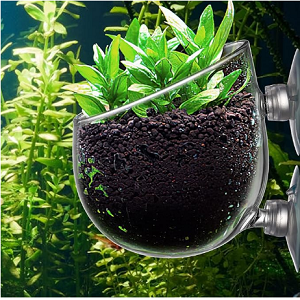 Vaso de vidro com plantas verdes fixado a uma superfície