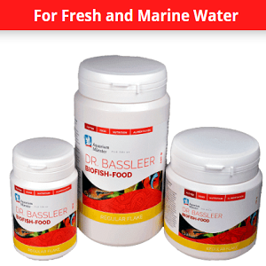 Três frascos brancos de comida para peixes DR. BASSLEER BIOFISH-FOOD em fundo branco